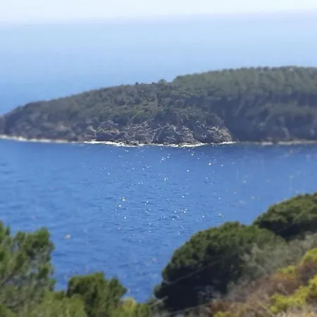 La Calle Isola D'Elba